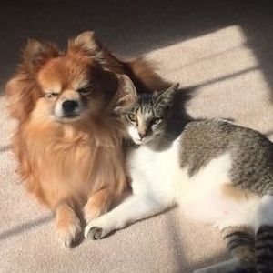 Meet your Posher, Celines